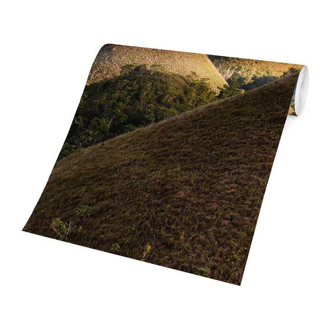 Wallpaper - Chocolate Hills Landscape