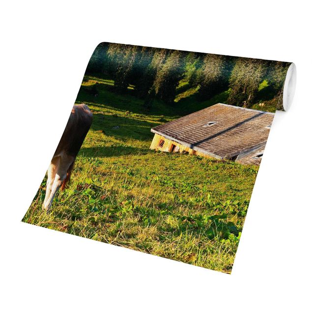 Wallpaper - Swiss Alpine Meadow With Cow