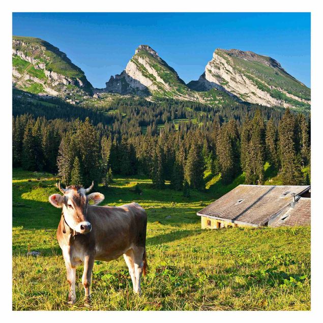 Wallpaper - Swiss Alpine Meadow With Cow