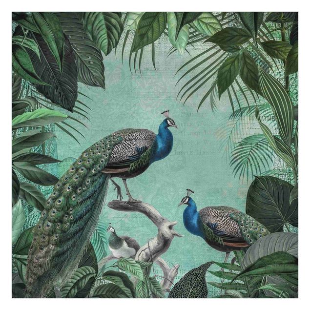 Wallpaper - Shabby Chic Collage - Noble Peacock