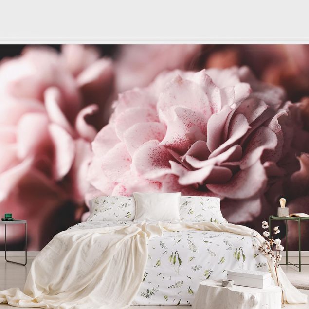 Wallpaper - Shabby Light Pink Rose Pastel