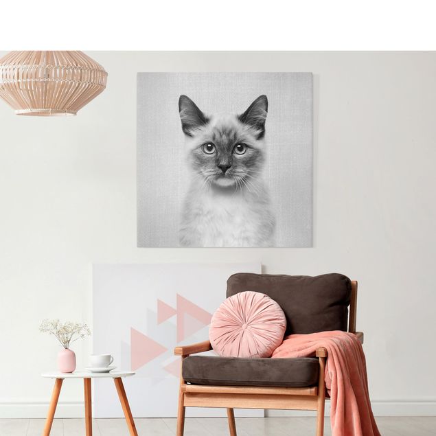 Canvas print - Siamese Cat Sibylle Black And White - Square 1:1