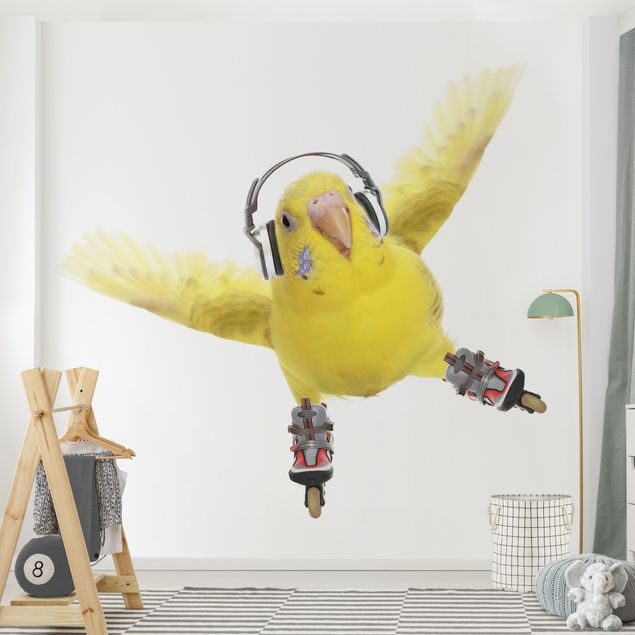 Wallpapers Skate Parakeet