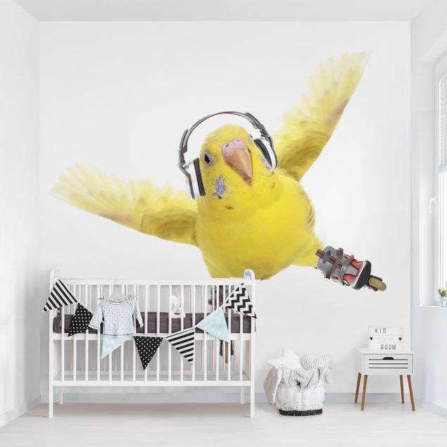 Wallpaper - Skate Parakeet