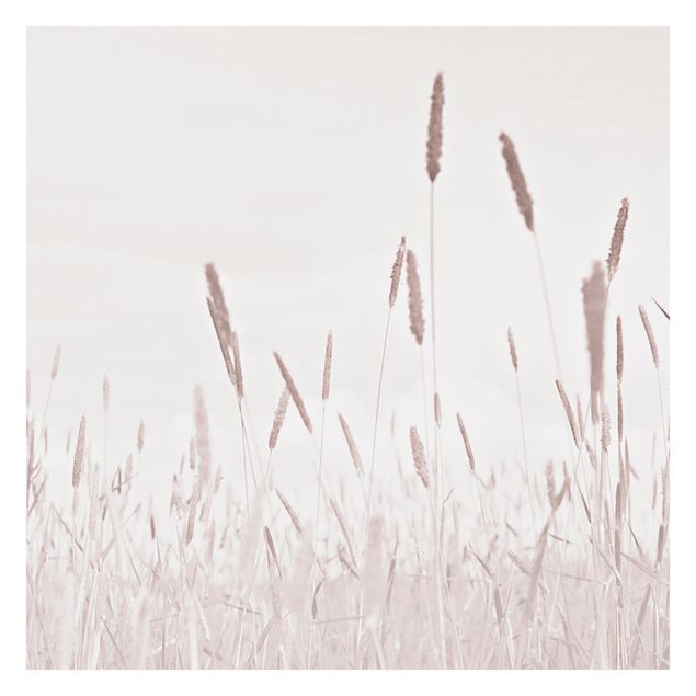 Walpaper - Summerly Reed Grass