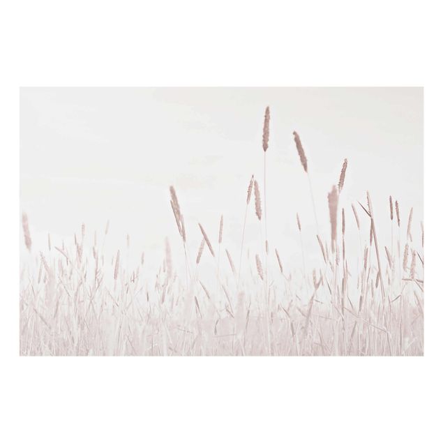 Glass print - Summerly Reed Grass