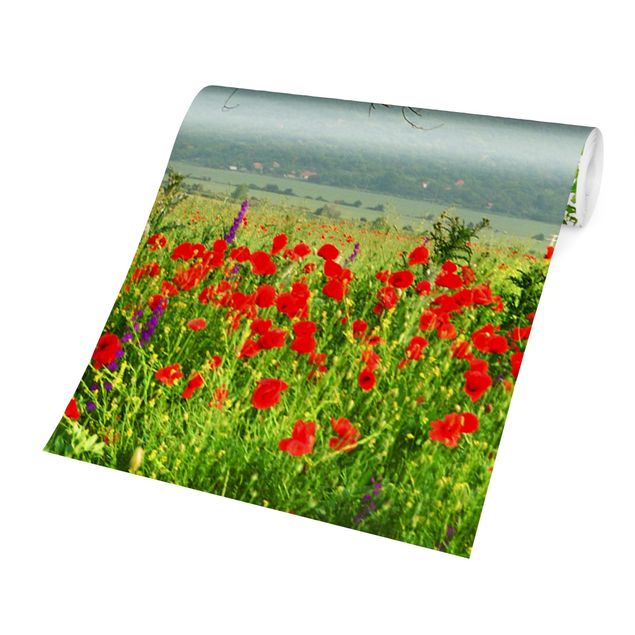 Wallpaper - Summer Meadow