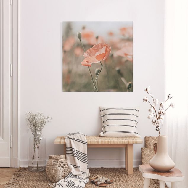 Print on canvas - Sun-Kissed Poppy Fields