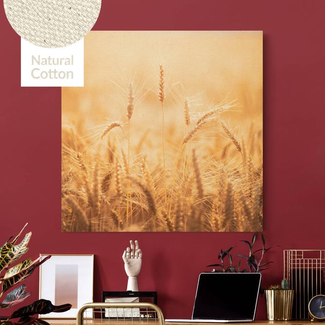 Natural canvas print - Radiant Ears - Square 1:1