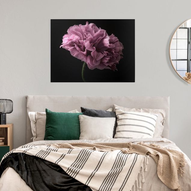 Canvas print - Proud Peony In Front Of Black