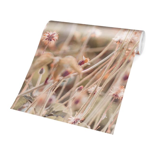 Walpaper - Flowering Meadow In the Sun