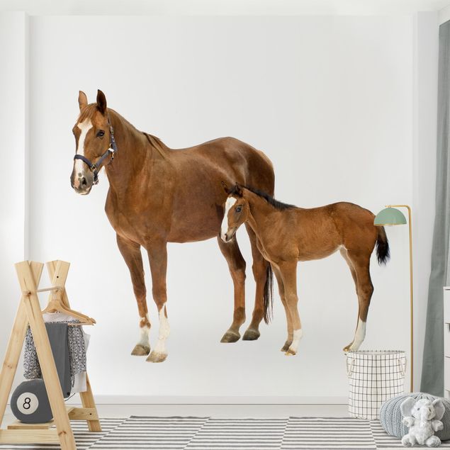 Wallpaper - Mare & Foal