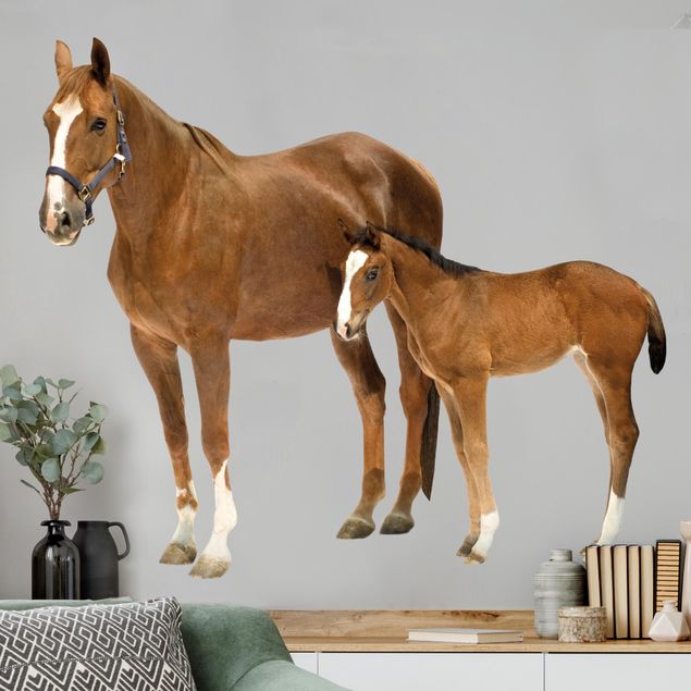Animal print wall stickers Mare & foal