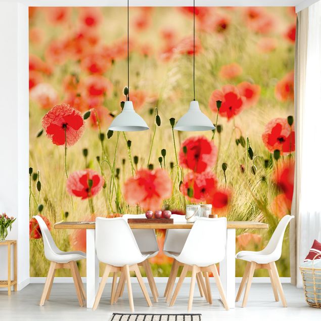 Wallpaper - Summer Poppies