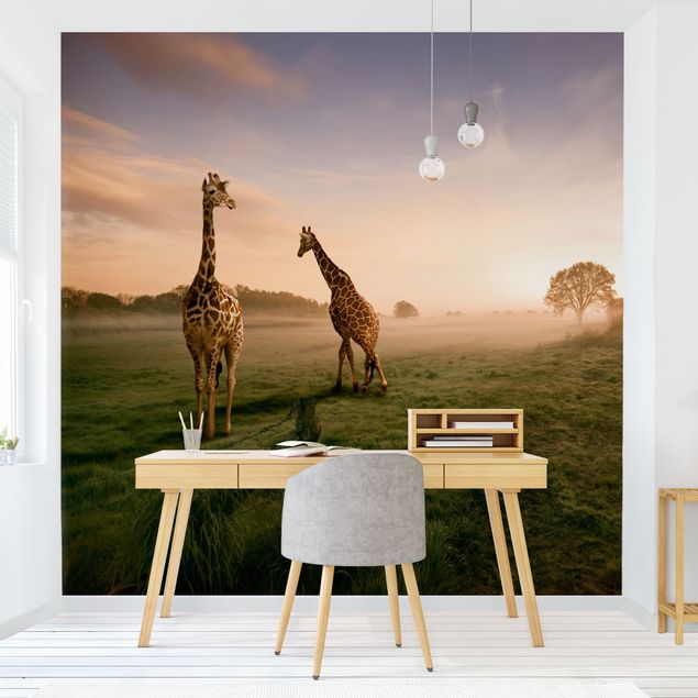 Wallpapers Surreal Giraffes