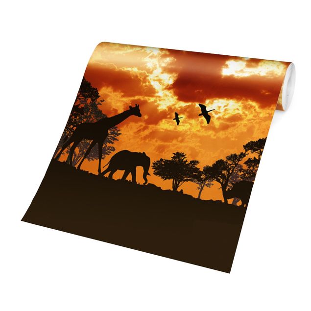 Wallpaper - Tanzania Sunset
