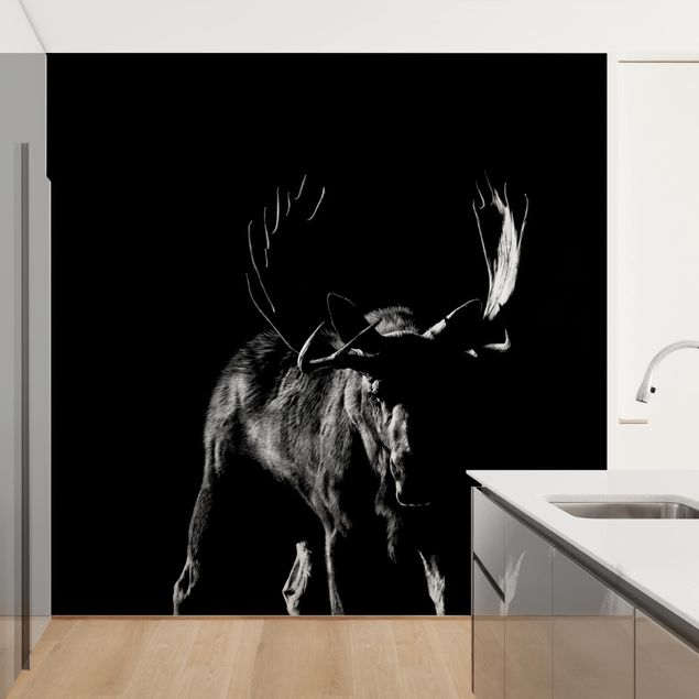 Wallpaper - Bull In The Dark