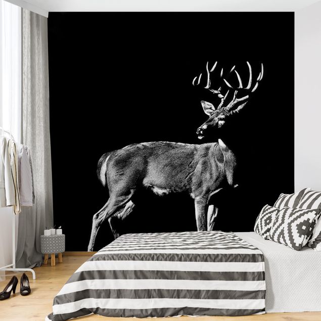 Wallpapers Deer In The Dark