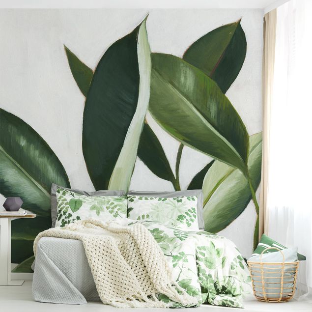 Wallpapers Favorite Plants - Rubber Tree