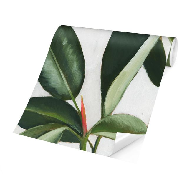 Wallpaper - Favorite Plants - Rubber Tree