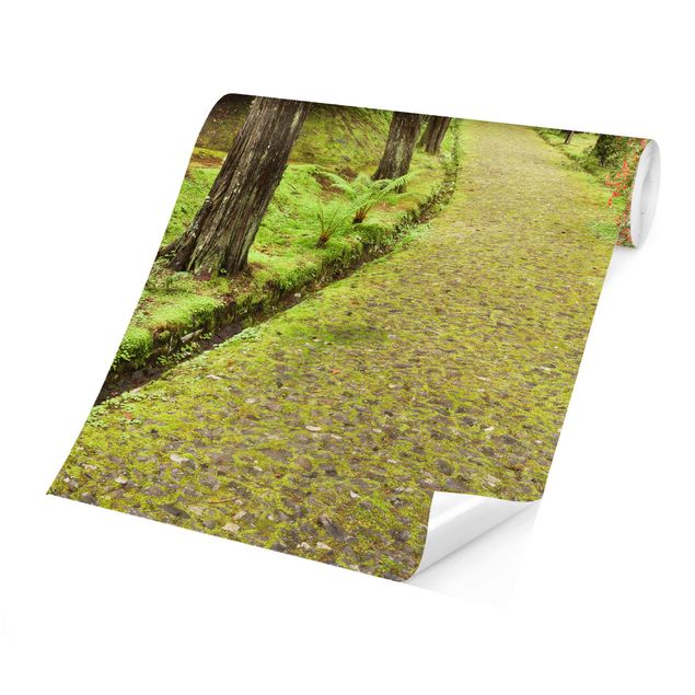 Wallpaper - Moss-covered Road