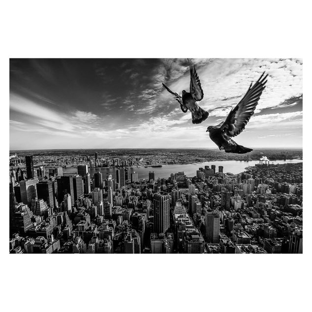 Wallpaper - Pigeons On The Empire State Building