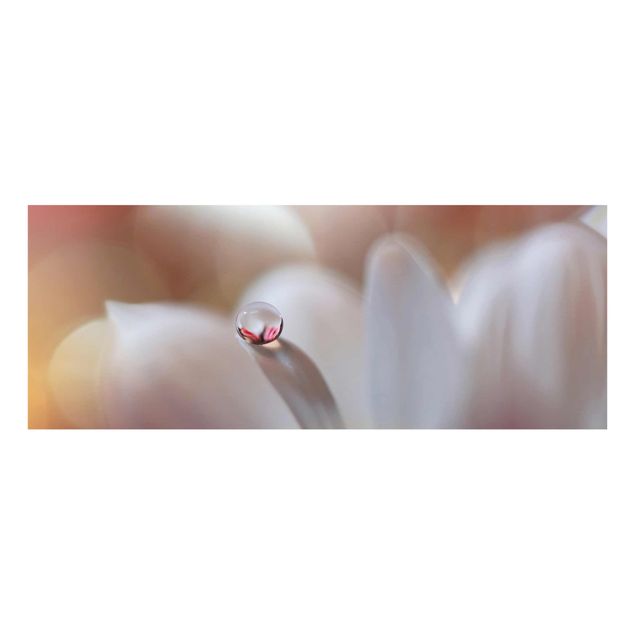 Glass print - Dewdrops On Pink Blossom