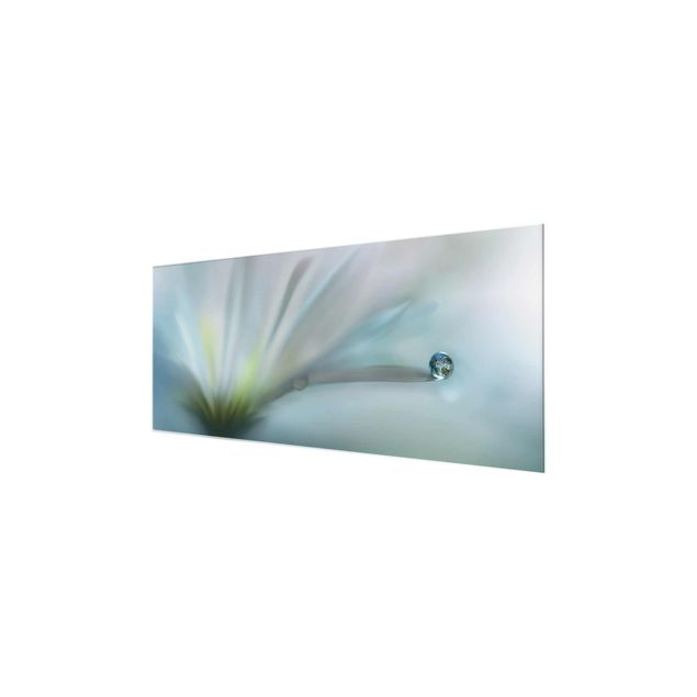 Glass print - Dewdrops On White Blossom