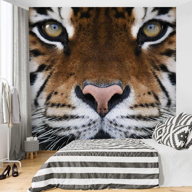 Wallpaper - Tiger Eyes