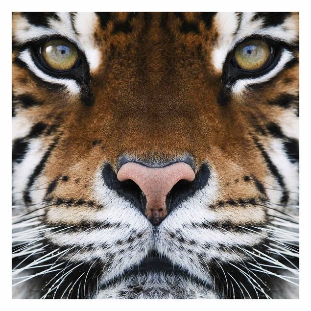 Wallpaper - Tiger Eyes