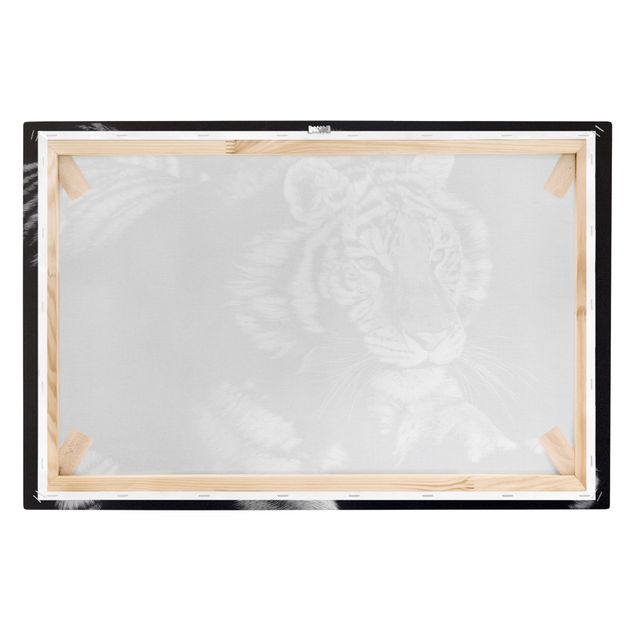 Print on canvas - Tiger In The Sunlight On Black - Landscape format 3x2