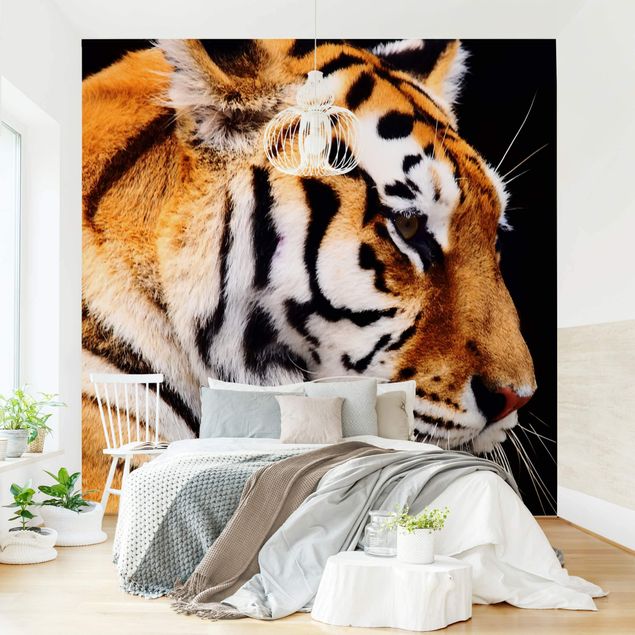 Wallpaper - Tiger Beauty