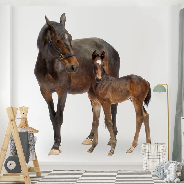 Wallpapers Trakehner Mare & Foal