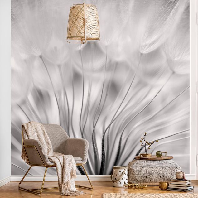 Wallpaper - Beautiful Dandelion Black And White