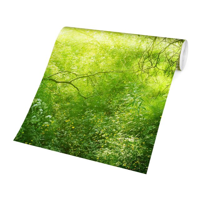Wallpaper - Magical Forest