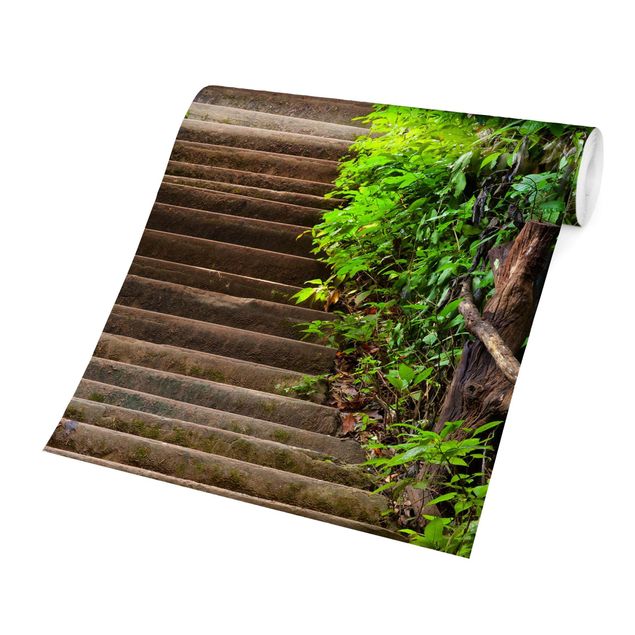 Wallpaper - Stairs In The Woods