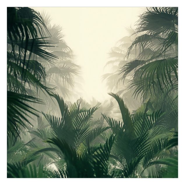 Wallpaper - Tropical Plants In Fog