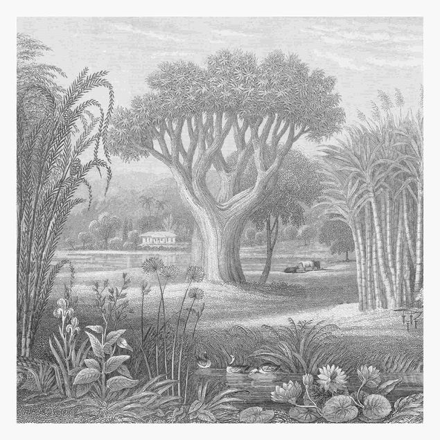 Wallpaper - Tropical Copperplate Engraving Garden With Pond In Grey