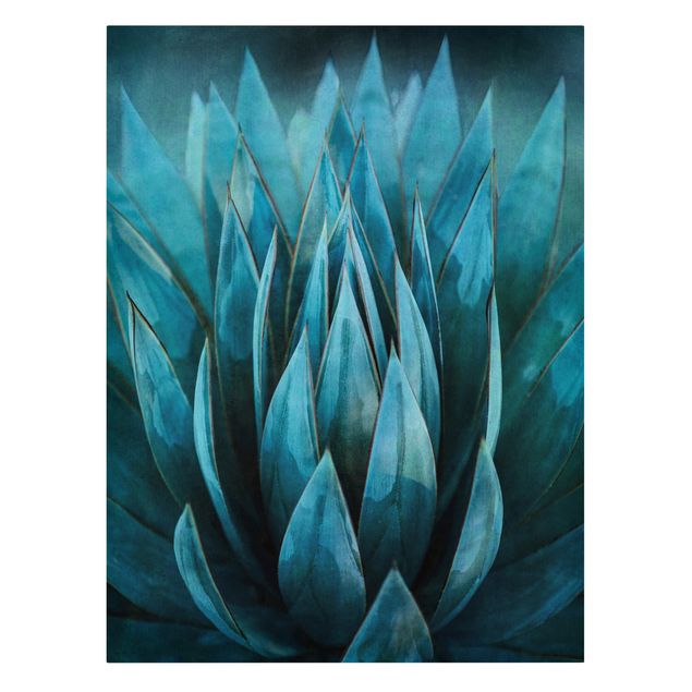 Canvas print - Turquoise Succulents