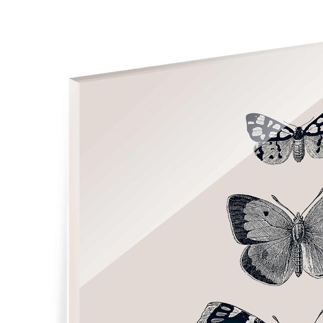 Glass print - Ink Butterflies On Beige Backdrop