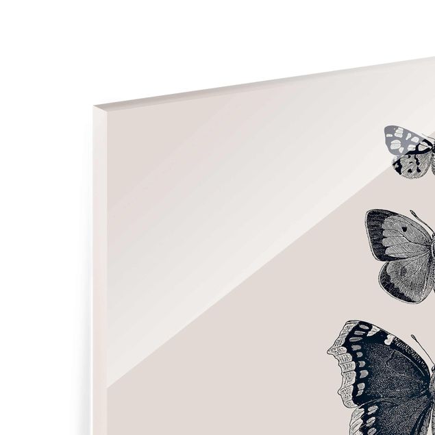 Glass print - Ink Butterflies On Beige Backdrop