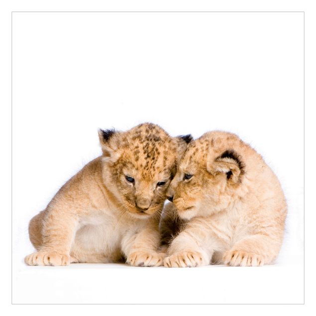 Wallpaper - Two Lion Babys
