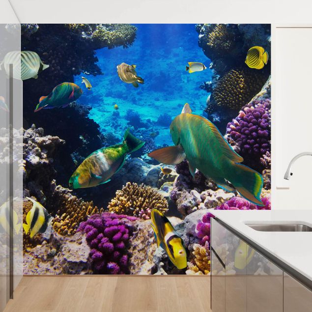 Wallpaper - Underwater Dreams