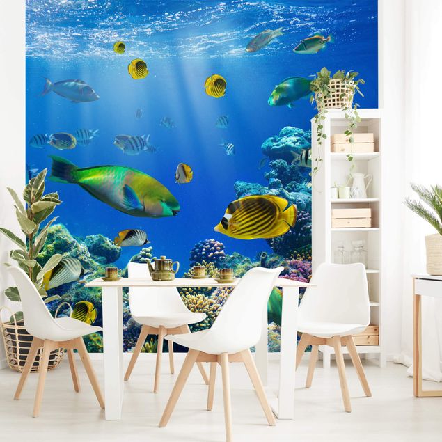 Wallpapers Underwater Lights
