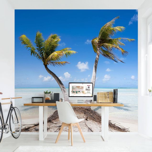 Wallpaper - Beneath Palm Trees