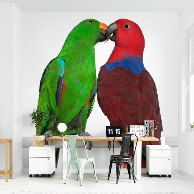 Wallpaper - Parrots In Love
