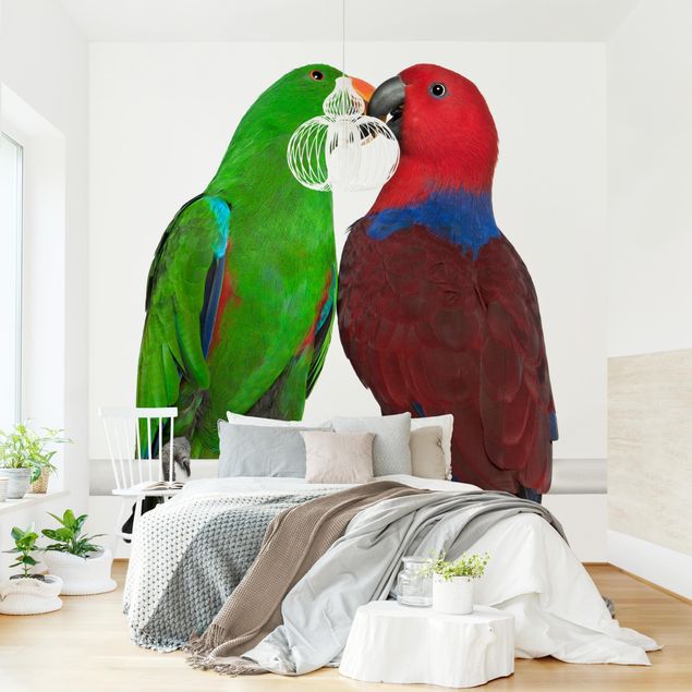 Wallpaper - Parrots In Love
