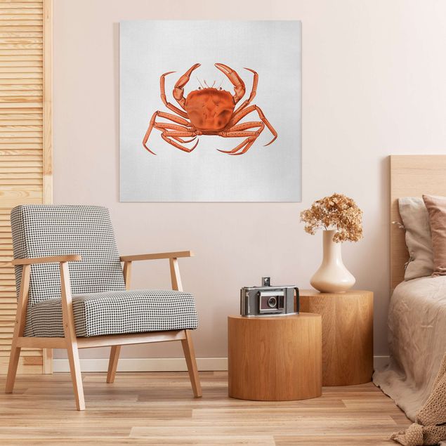 Canvas print - Vintage Illustration Red Crab - Square 1:1