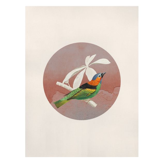 Canvas print - Bird Collage In A Circle ll