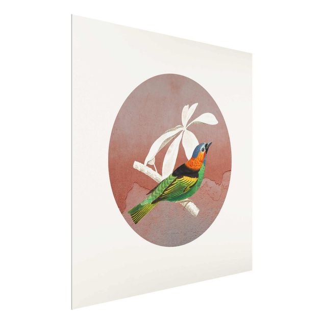 Glass print - Bird Collage In A Circle ll
